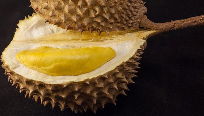 Dikenal Bau, Ternyata Buah Durian Punya Manfaat yang Dahsyat buat Kesehatan