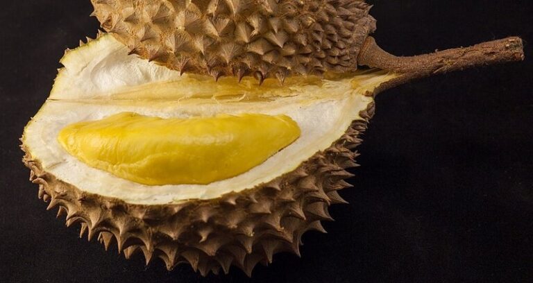 Dikenal Bau, Ternyata Buah Durian Punya Manfaat yang Dahsyat buat Kesehatan