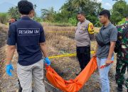 Temuan Kerangka Manusia di Ladang Pesawahan Hebohkan Warga Cisayong