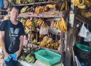 Stok Pisang di Pasar Singaparna Melimpah