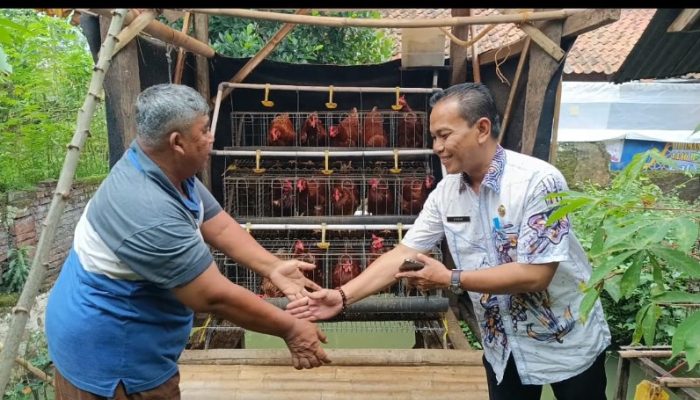 Berdayakan KPM PKH Melalui Usaha Ternak Ayam Petelur