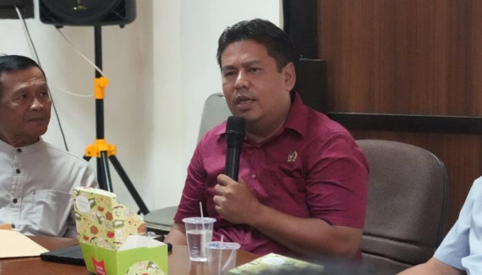 Soroti Kebijakan Pelimpahan Pengelolaan Parkir, DPRD Pesimis Capai Target
